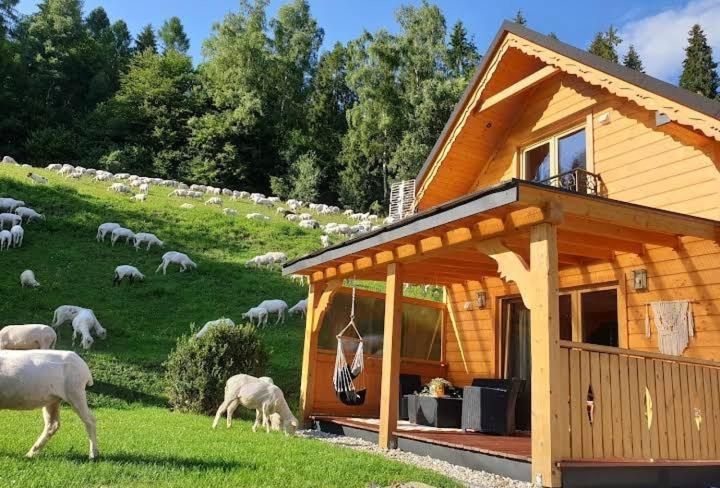 Domek Pod Groniem Mizerna المظهر الخارجي الصورة
